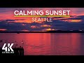 8 hrs ocean waves sounds u0026 squawking seagulls for deep relaxation pink sunset over seattle in 4k