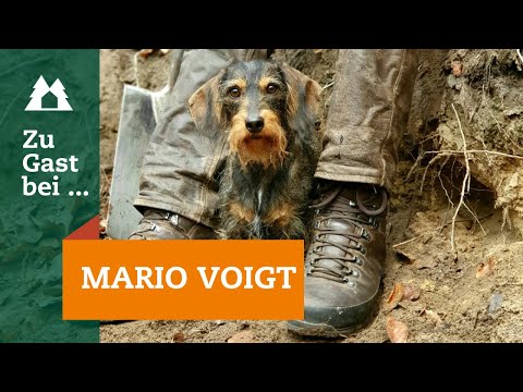 Baujagd | Fuchsjagd | "Zu Gast bei …" bei Mario Voigt | Folge 7 | Fuchsbau | Jagd mit Dackel