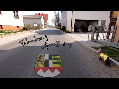 FahrradAlltag im Frankenland #10 - " ProfiRadler" und die Kaaaaatze