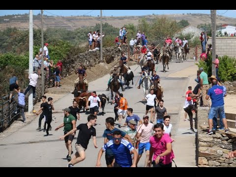 Vibrante encierro a caballo en Barruecopardo con varias decenas de caballistas