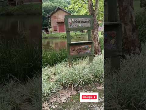 Vila dos Plátanos, Alto Cutias, Lontras -SC. Caminhadas na Natureza com o @sescsantacatarina