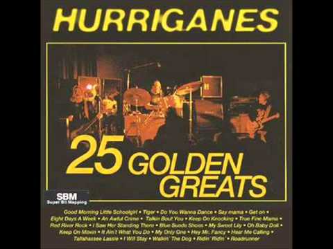 I Saw Her Standing There - Hurriganes