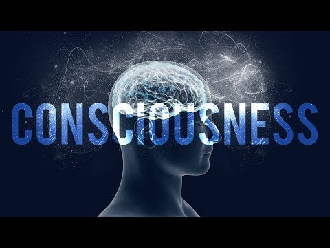 Why Should I Explore My Own Consciousness? | Jeff Warren