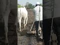 Guwahati Per Viral Video Sex