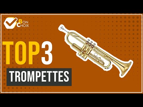Trompettes - Top 3 - (BonChoix)