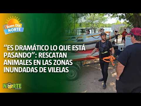 🐾 “Es dramático lo que está pasando”: rescatan animales en las zonas inundadas de Puerto Vilelas