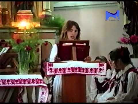 Jobbágyfalvi búcsú és szüreti bál 1993-ban