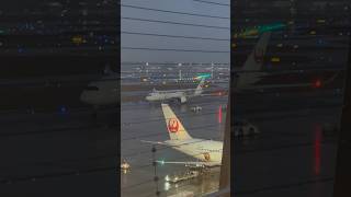 🇯🇵羽田空港　　JAL WBC特別塗装機　#飛行機 #羽田国際空港