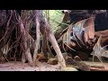 Agua viva hat das Video Altum biotope tank (jgLlYEAgCYg) zum Beispiel Amazonas - Wasserwelt hochgeladen.