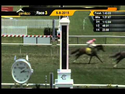 Pimlico 05/08/15 race 3