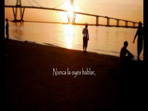 Se dejaba llevar - Santiago Cruz