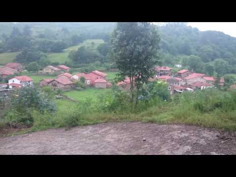 Centro Canino Valdaliga