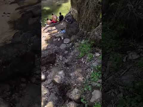 QUÉ CANTIDAD DE PECES 🐟🐠 QUÉ AGUA TAN CRISTALINA