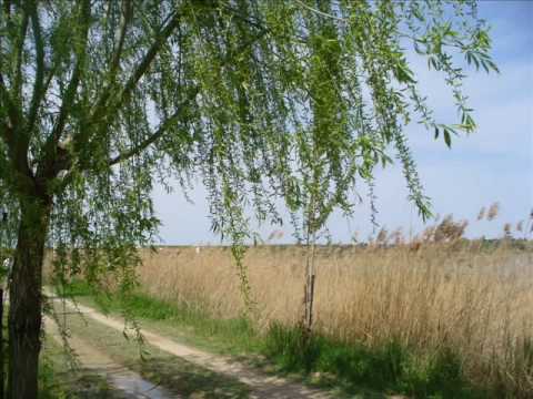 SO MUCH MAGNIFICENCE.  Miten & Premal