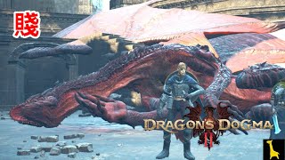 【ドラゴンズドグマ2】実況#11 ゲス盗賊団長が想像以上にゲスだった Dragon's Dogma 2 PC Steam