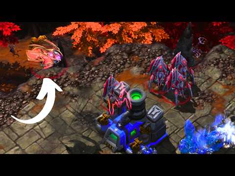 This Is How MaxPax Became World's #1 Protoss