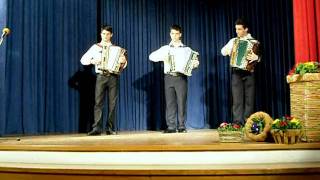 Ansambel Trio M - Živijo polka