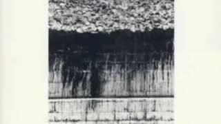 Wire - German Shepherds