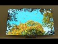 Samsung Launches Next Gen AI Powered TV At Las Vegas Tech Show