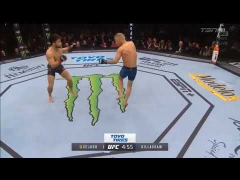 Henry cejudo нокаутировал tjdilashow