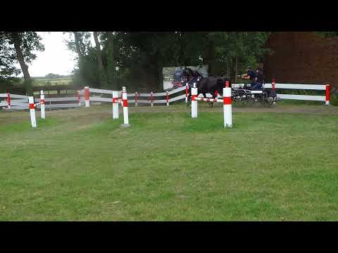 Fahrturnier Ostenfelde 15.8.2021