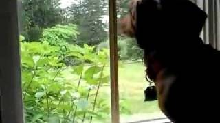 the man on susies mind