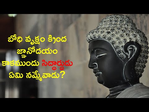 Buddha Purnima Untold Story Telugu Special | బుద్ధ పూర్ణిమ 2020 | News6G