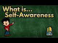 What is Self Awareness?