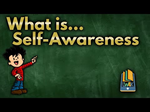 What is Self Awareness?