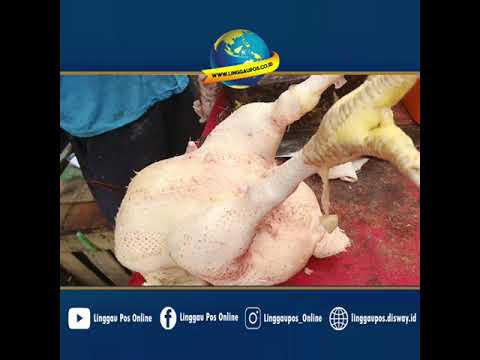 Harga Daging Ayam Naik