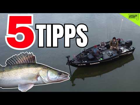 ZANDERANGELN | 5 Tipps, die du kennen musst!