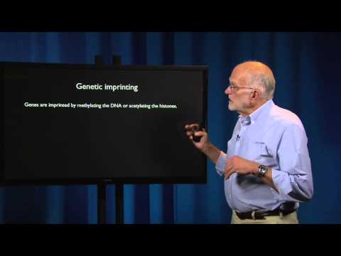 Reproduction: Parent-Offspring Conflict