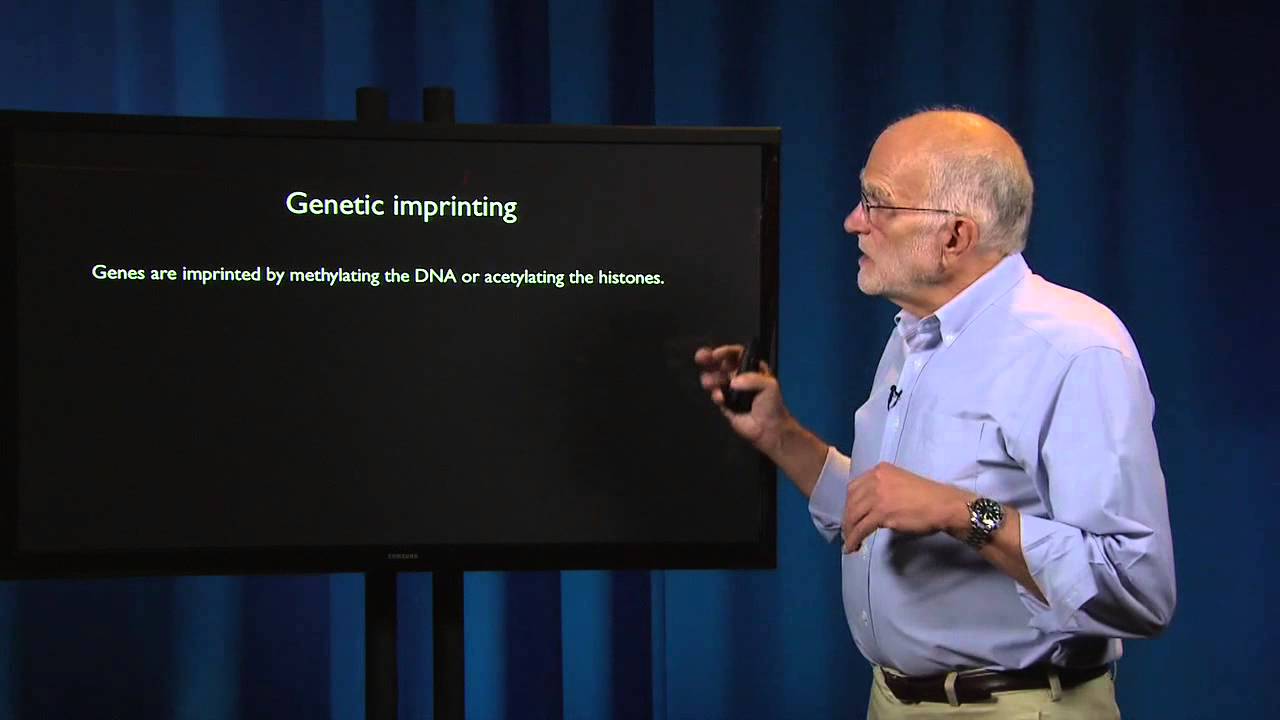 Reproduction: Parent-Offspring Conflict