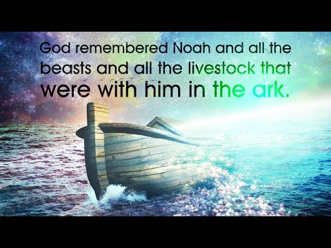 Genesis 8: Creation Renewed