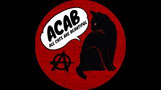 Die Toten Hosen - Entschuldigung es tut uns Leid (Video)