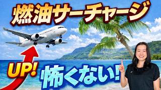 JAL・ANA 燃油サーチャージ6月から2倍！北米往復11万円超。知らないと損し続ける設計の違い