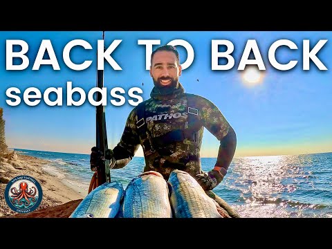 🤯 Two Seabass in 5 Minutes... This Rarely Ever Happens! | Spearfishing Catch & Cook 🔥