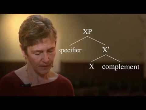 Generative Syntax 4.1: The X-bar Schema