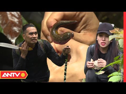 Kỹ năng sinh tồn trong rừng nguyên sinh ! ANTV !