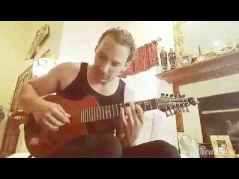 gryphon 12 string gryphon 12 string