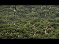 The Awesomeness of Brazil's Snake Island: The Mystery of the Island and the Ban on Human Arrivals