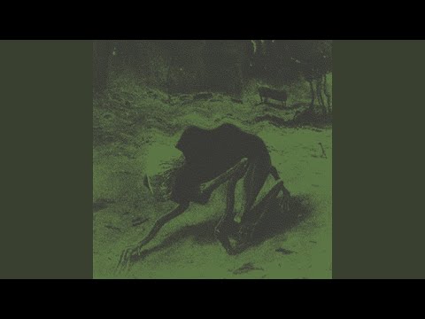 Video thumbnail for Don’t Trip (Promise Me the World)