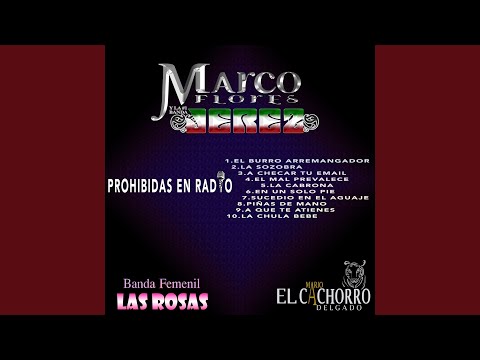 download lagu mp3 mp4 Atienes, download mp3 Atienes free download mp3, download mp3 Atienes