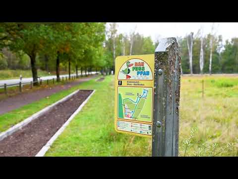 Pfälzer Geheimtipps - Barfußpfad Ludwigswinkel