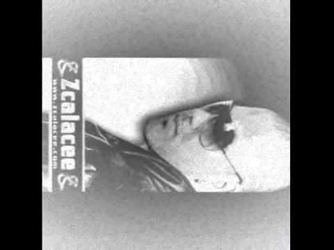 Zcalacee, Ali Gold und SEB   Millionär Billionaire Cover 2010