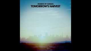 Boards of Canada - Jacquard Causeway