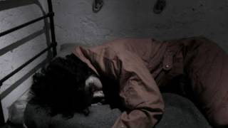 How To Survive Interrogation