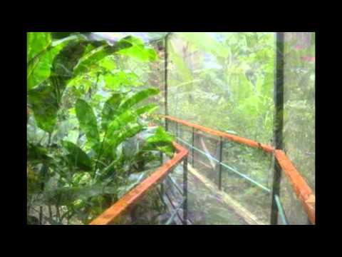 C21.45 ACRES - Amazing Commercial Acreage With Endless Potential In Heart Of Manuel Antonio!!