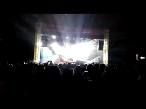 Wilkinson BEATS FOR LOVE 2017