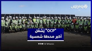 خطوة نحو الحياد الكربوني.. "مجمع الفوسفاط" يُشغّل أكبر محطة شمسية كهروضوئية بالمغرب thumbnail